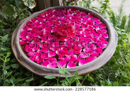 red rose petal floating water in bowl basin