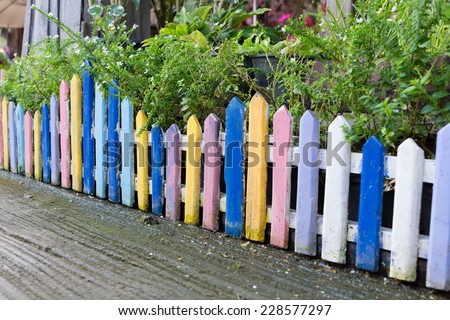 colorful wood fence in small garden with white flower