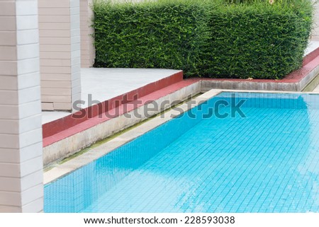blue swimming pool in green garden