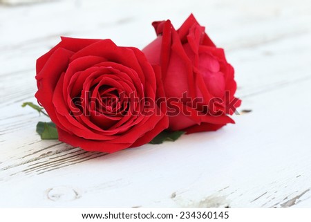 red rose flower on white wood background