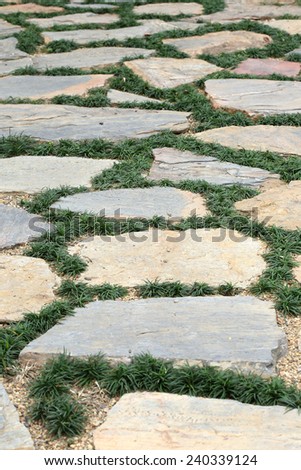 design floor of pavement with stone and grass