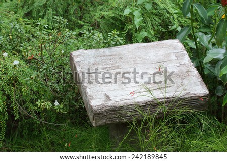 blank pedestal cement stone in green garden