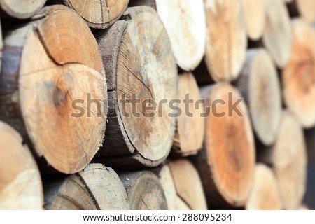 wood logs texture of aged annual rings