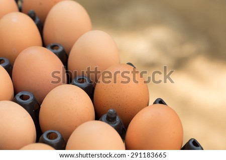 fresh organic eggs from chicken farm agriculture for sale at the market