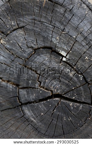 texture of black wood logs background with crack damage of aged annual rings