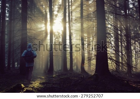 Young guy with a backpack standing in a forest in the mist at sunrise