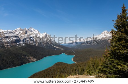 Sunny afternoon at Peyto Lake and Caldron Peak in the Mistaya River Valley in Lake. Banff National Park, Alberta, Canada