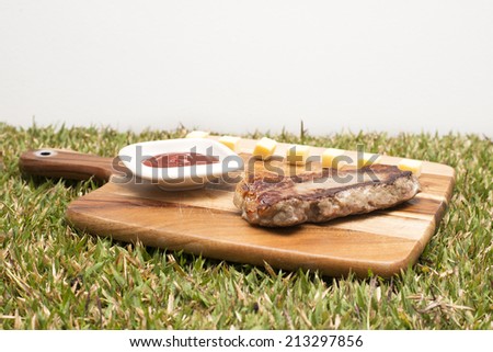 Steak, cheese and tomato sauce on a chopping board on grass with a white background.
