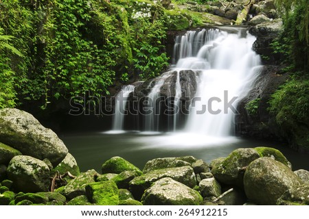 World heritage area Lamington National Park. Waterfall in the gold coast hinterlands on the NSW border.