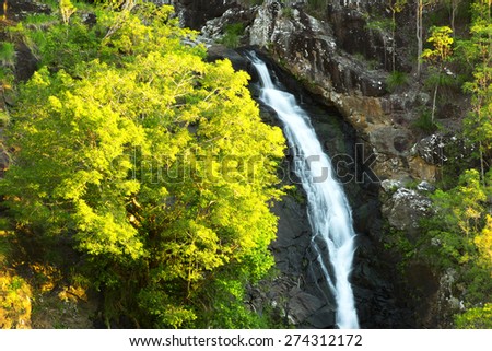 Waterfall near Montville, Sunshine Coast Hinterlands in Queensland.