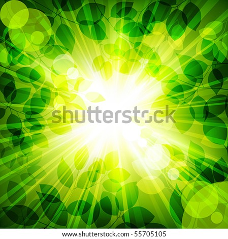stock vector : rays of sun in