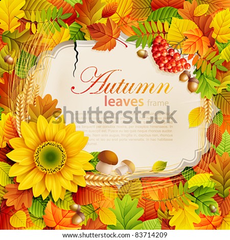 Autumn vintage greeting card on colorful leaves background with place for text. Vector illustration. Check my portfolio for raster version.