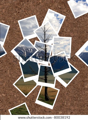 Landscape, collage of photos for your design