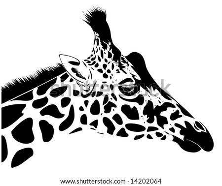 Giraffe Stock Vector Illustration 14202064 : Shutterstock