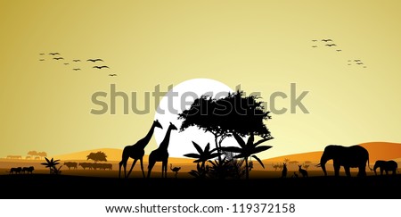 beauty silhouette of safari animal wildlife
