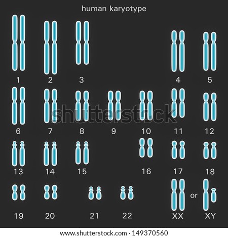 Normal human karyotype which is the diploid pairing of the chromosomes dependant upon their number size and coding and controls inherited characteristics in genetics Normal human karyotype which is the diploid pairing of the chromosomes dependant upon their number size and coding and controls inherited characteristics in genetics