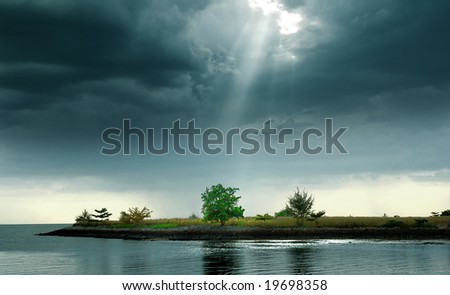 Jesus light shine on green tree