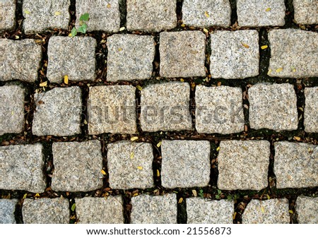 stone block paving with fallen leaf