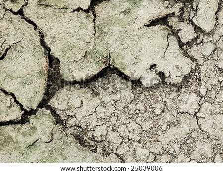 dry mud ground