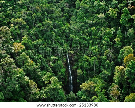 waterfall at tropical forest, top view