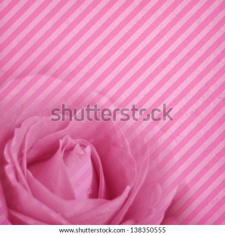 striped background with rose