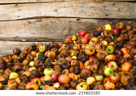 pile of rotten apples on wooden boards background