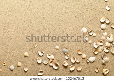 Sea Shells On Sand. Summer Beach Background. Top View
