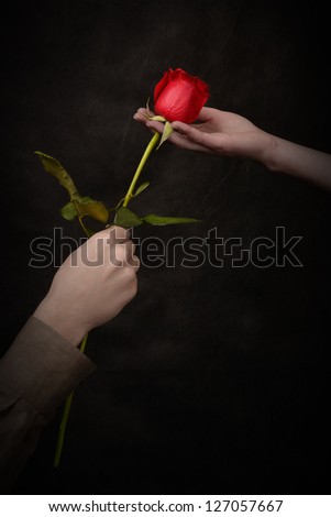 man\'s hand giving a rose to a woman