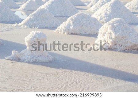 Salt mounds at salt marsh
