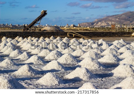 Sea salt at salt marsh
