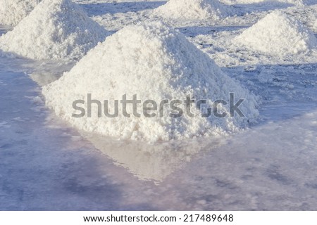 Sea salt mounds at salt marsh
