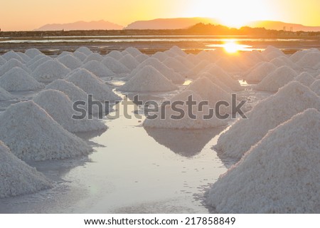 Sea salt at salt marsh on sunset