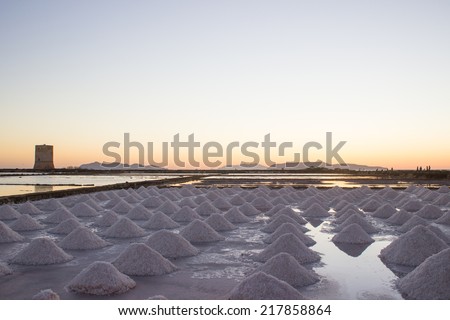 Sea salt at salt marsh on sunset