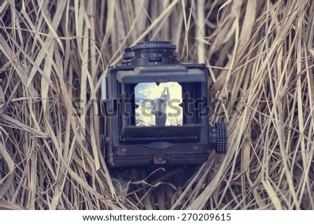 retro vintage photo camera middle format in dry grass image inside