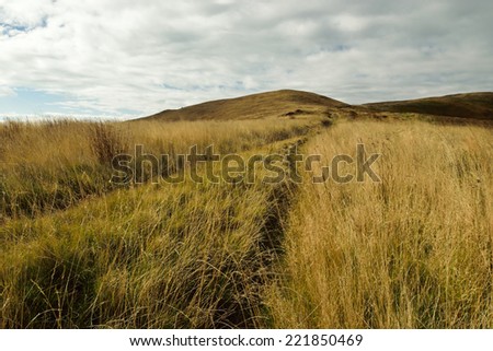 Road in autumn mountains scenery with brown and yellow grass and clouds in the sky