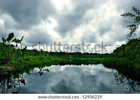 Amazon Jungle Lake Reflections.