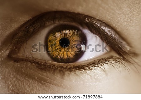 Extreme Macro of a brown eye