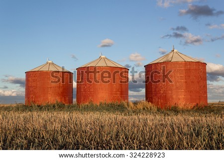 red grain bins in the evening sun