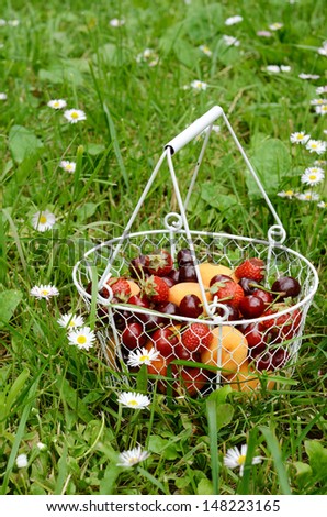 Wire basket with summer fruit mix - peaches, apricots strawberry and sweet cherry in green grass
