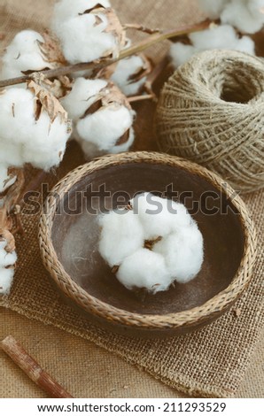 Floral installation with dry cotton flower in vintage wooden bowl