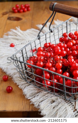 Red berries of viburnum in wire basket