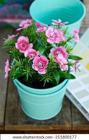 Spring pink flower in mint flower pot on rustic wooden table