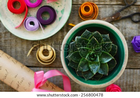 Table in flower shop - stone rose cactus, wrap paper roll, set of colorful ribbons, bow and decor, vintage scissors