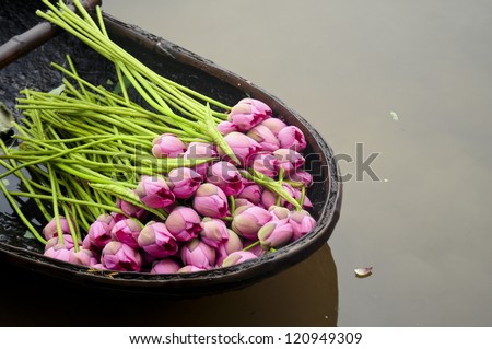 Lotus flowers on a boat in West lake, Hanoi, Vietnam