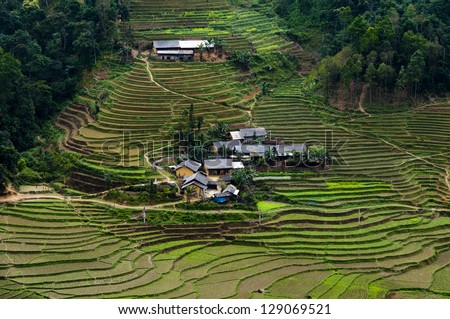 Houses in the terraced rice field