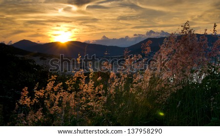 Beautiful landscape with grass and mountain in sunset in Vietnam