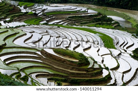 Beautiful terraced rice field in water season in Laocai province, Vietnam