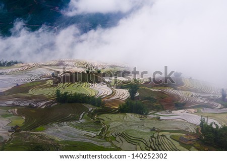 Beautiful terraced rice field in cloud in Lao cai province, Vietnam