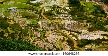 Beautiful terraced rice field in Lao cai province in Vietnam