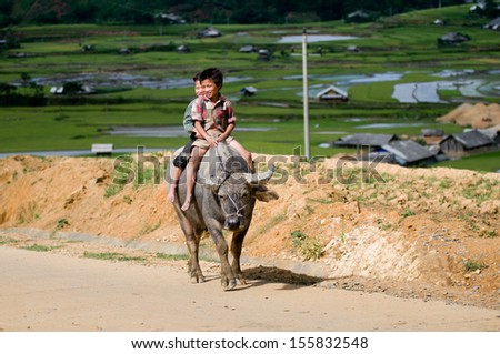 MUCANGCHAI, VIETNAM - JUNE 7: Ton, 7, Sung, 8, two H\'mong Ethnic Minority boys ride buffalo on June 7, 2013 in MuCangChai, Vietnam. H\'mong are the 8th largest ethnic minority group in Vietnam.